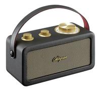 Sangean Radio sans fil RA-101 – FM Bluetooth AUX rechargeable – Noir/Or