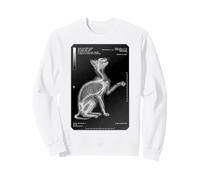 Radiologie infirmière radiologiste Amoureux des Chats radiographie drôle félin Animal de Compagnie Sweatshirt