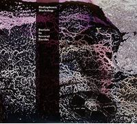 Radiophonic Workshop the - Burials in Several Earths [Import]