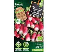 Radis 1/2 long Flamboyant- Protecta Graines paysannes - Env. 10 gr | 146-Protecta
