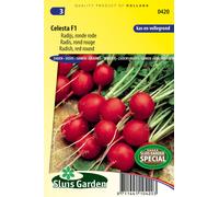 Radis Celesta F1 Graines - Plantes à bulbes et à racines - Environ 4 g | SG0420