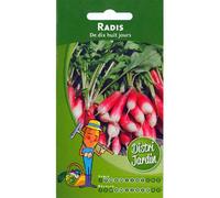 Radis de dix huit jours