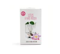 Radis et Capucine - Garden set - Lotus zen