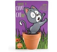 - herbe à chat - carte avec pot