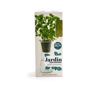 Radis et Capucine - Jardin autonome - Basilic grand vert bio