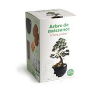 Radis et Capucine - Kit arbre de naissance - Cèdre