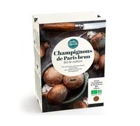 Radis et Capucine - Kit de culture - Champignons de Paris brun - 4L