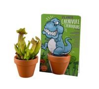 RADIS ET CAPUCINE-Kit de plantation graines de plante carnivore carte nature T-Rex Radis et Capucine