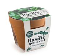 RADIS ET CAPUCINE-Kit de semence potager pot terre cuite antique basilic grand vert bio Radis & Capucine