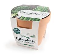 RADIS ET CAPUCINE-Kit de semence potager pot terre cuite antique ciboulette bio Radis & Capucine