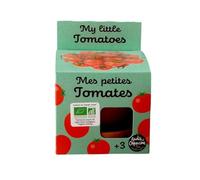 Radis et Capucine - Kit plantation - Tomates Cerise bio - 8cm