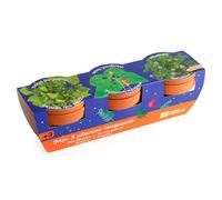 RADIS ET CAPUCINE-Kit prêt à pousser de 3 pots Radis 1 Capucine Mes 3 plantes magiques