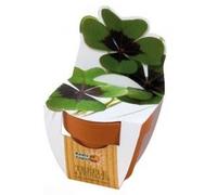Radis et Capucine - Mini kit de culture - Trèfle 4 feuilles - 6 cm