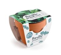 Radis et Capucine - Mini kit 6 cm - Basilic