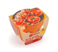 Radis et Capucine - Mini kit de culture - Tomate Cerise bio - 6cm