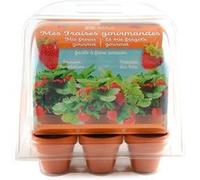 Radis et capucine - Mini serre 6 pots fraisiers