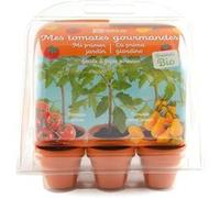 radis et capucine - mini serre 6 pots - tomates bio à faire pousser G