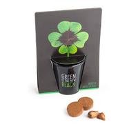 RADIS ET CAPUCINE-Pot black en céramique noire de Trèfle à planter diamètre 6