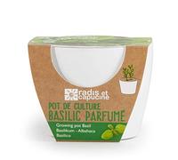Pot céramique blanc 8 cm Basilic