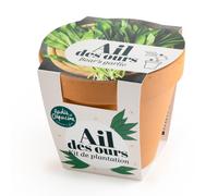 RADIS ET CAPUCINE-Pot en terre cuite antique avec graines d’ail des ours bio Radis & Capucine