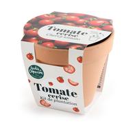 RADIS ET CAPUCINE-Pot en terre cuite antique avec graines de tomate cerise bio Radis & Capucine