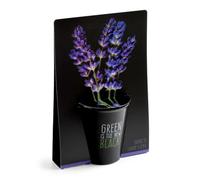 RADIS ET CAPUCINE-Pot en terre cuite black avec grains de lavande bio Radis & Capucine Green is the new black