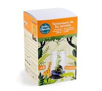 RADIS ET CAPUCINE - Terrarium de la Savane à Faire soi-même avec graines de cacahuète à Faire Pousser.