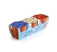 Radis et Capucine - Trio fleurs bleu blanc rouge