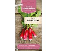 Radis "Flamboyant 2" - 1 sachet