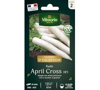 Radis Japonais April Cross HF1 - Graines d'Exception