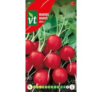 Radis Jolly Graines - Rond rouge écarlate et du goût plus doux