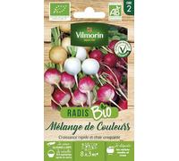 Sachet de graines Radis Mélange de Couleurs BIO