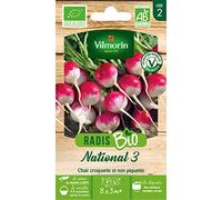 Radis National 3 Bio Vilmorin