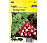 Radis National 3 graines - Plantes avec tubercules et racines - Env. 6 g | SG0425