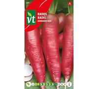 Radis Ostergruss Rosa Graines - Racine longue (qui peut atteindre 30 cm) d’une belle couleur rose foncée