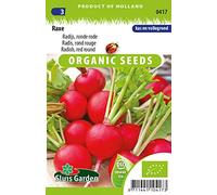 Radis, rond rouge Raxe - Graines Biologiques