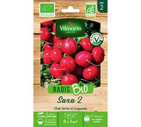 Vilmorin - Sachet graines Radis Saxa 2 BIO - Raphanus sativus