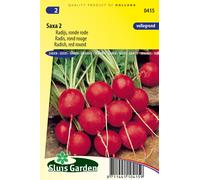 Radis Saxa 2 graines - Plantes avec tubercules et racines - Env. 6 g | SG0415