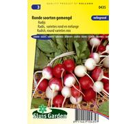 Radis, variétés rondes en culture mixte Graines - TuberculesSemences - et plantes racines - Env. 7 g | SG0435