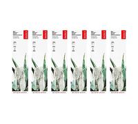 Radius Big Brush Lot de 6 têtes de rechange souples 0,1170000000001 kg