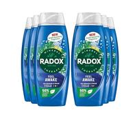 Radox Mineral Therapy Feel Awake Gel douche 2 en 1 avec parfum minéral marin et fenouil pour une expérience rafraîchissante 6 x 450 ml