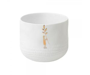 Räder Histoires d'images lumière prairie