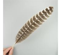 RAEF Plumes d'aigle Naturelles, 10 pièces/lot, pour Artisanat, Accessoires de Coiffure, décoration de Vacances, Plumes de Carnaval, décor Artisanal DIY