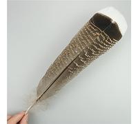 RAEF Plumes d'aigle Naturelles, 10 pièces/lot, pour Artisanat, Accessoires de Coiffure, décoration de Vacances, Plumes de Carnaval, décor Artisanal DIY