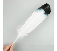 RAEF Plumes d'aigle Naturelles, 10 pièces/lot, pour Artisanat, Accessoires de Coiffure, décoration de Vacances, Plumes de Carnaval, décor Artisanal DIY