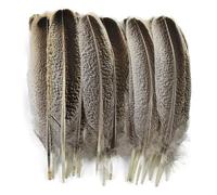 RAEF Plumes d'aigle Naturelles, 10 pièces/lot, pour décoration Artisanale, Mariage, Oiseau, Faisan, Plumes de Dinde, décoration de Carnaval de Vacances