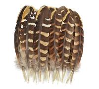 RAEF Plumes d'aigle Naturelles pour la Fabrication de Bijoux, Artisanat de création, Vases Attrape-rêves, Accessoires artisanaux, Plumes de décoration