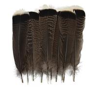 RAEF Plumes Naturelles d'aigle et d'oiseaux, 10 pièces/lot, Longues et Grandes Plumes de Dinde pour l'artisanat, Accessoires de Carnaval, décoration de Mariage