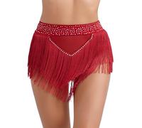 Raenseen Robe De Danse du Ventre Femme Strass Robe Danse Moderne Latine Salle De Bal Tango avec Franges Pompons Jupes Samba Salsa Latine Jazz Cha Cha Tenue Bourgogne L