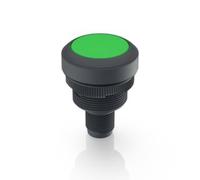 RAFI 1.10.071.001/0551 Voyant lumineux vert 1 pc(s)